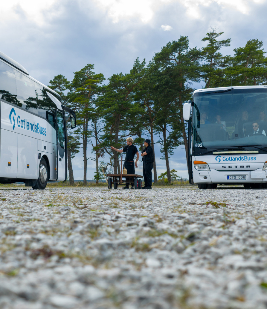 gotlandsbuss2_0005